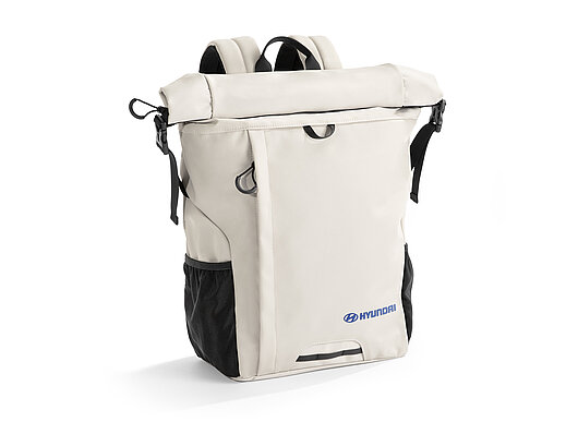 Аксесуари для автомобілів Hyundai у м. Рівне | ВІК-Експо - фото 7