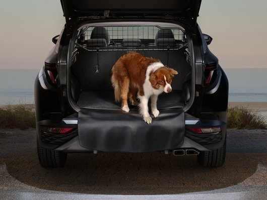 Купити автомобіль в ВІК-Експо. Модельний ряд Hyundai | ВІК-Експо - фото 11