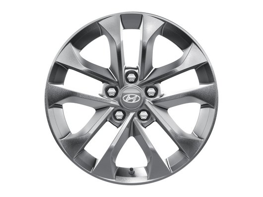 Аксесуари для автомобілів Hyundai у м. Рівне | ВІК-Експо - фото 26