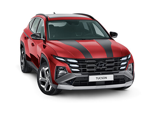 Аксесуари для автомобілів Hyundai у м. Рівне | ВІК-Експо - фото 19