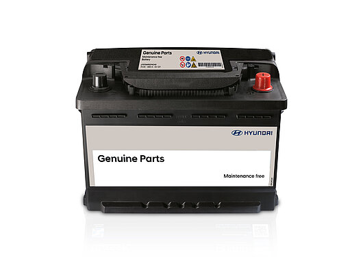 Аксесуари для автомобілів Hyundai у м. Рівне | ВІК-Експо - фото 7